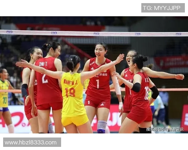 深度对话杨磊揭秘排球人生背后的坚持与梦想 深度对话杨磊揭秘排球人生背后的坚持与梦想