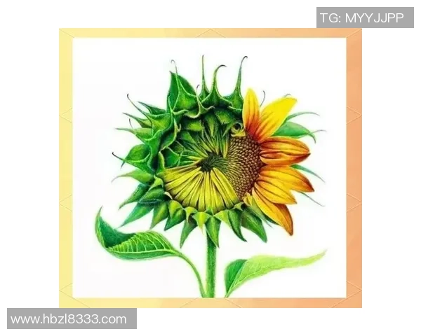 陈军独家分享网球心得与技巧助你提升球技的全面指南 陈军独家分享网球心得与技巧助你提升球技的全面指南