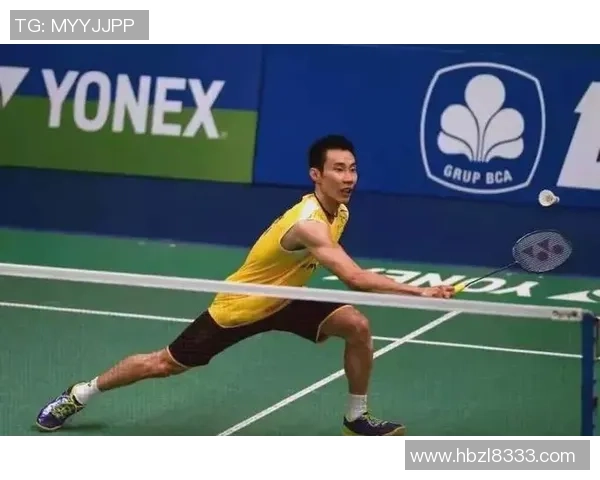 羽毛球新手攻略:战术入门指南