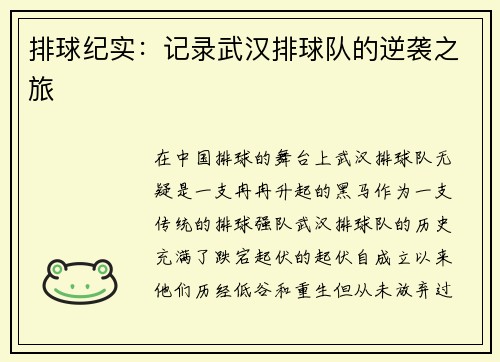排球纪实：记录武汉排球队的逆袭之旅
