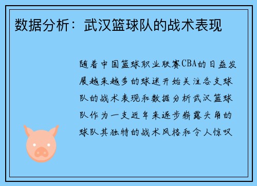 数据分析：武汉篮球队的战术表现